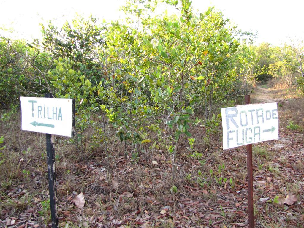Hotel Fazenda Arara Azul 卡罗莱纳 外观 照片