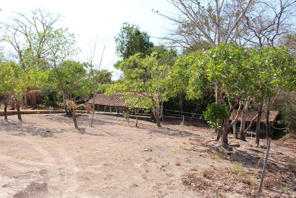 Hotel Fazenda Arara Azul 卡罗莱纳 外观 照片